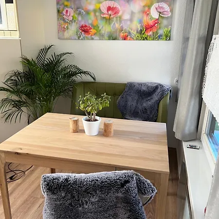Apartman Erfurt-gemuetlich-sonnig-kueche-bad-garten-parken-pool-sauna-wlan-carogruen Erfurt