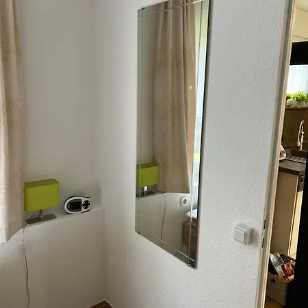 Erfurt-gemuetlich-sonnig-kueche-bad-garten-parken-pool-sauna-wlan-carogruen Apartment