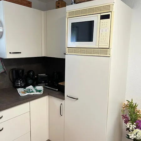 Apartment Erfurt-gemuetlich-sonnig-kueche-bad-garten-parken-pool-sauna-wlan-carogruen *